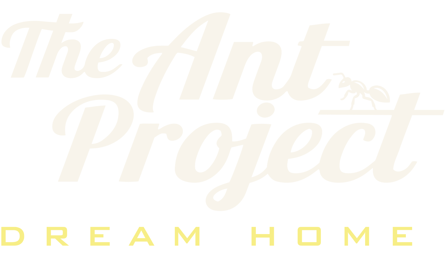The Ant Project